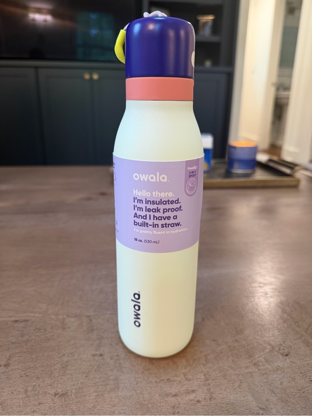 Owala Insulated Water Bottle - Pastel Green with Purple & Coral Accents